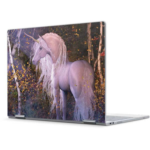 Laurie Prindle Autumn Glow Unicorn Pixelbook Skin